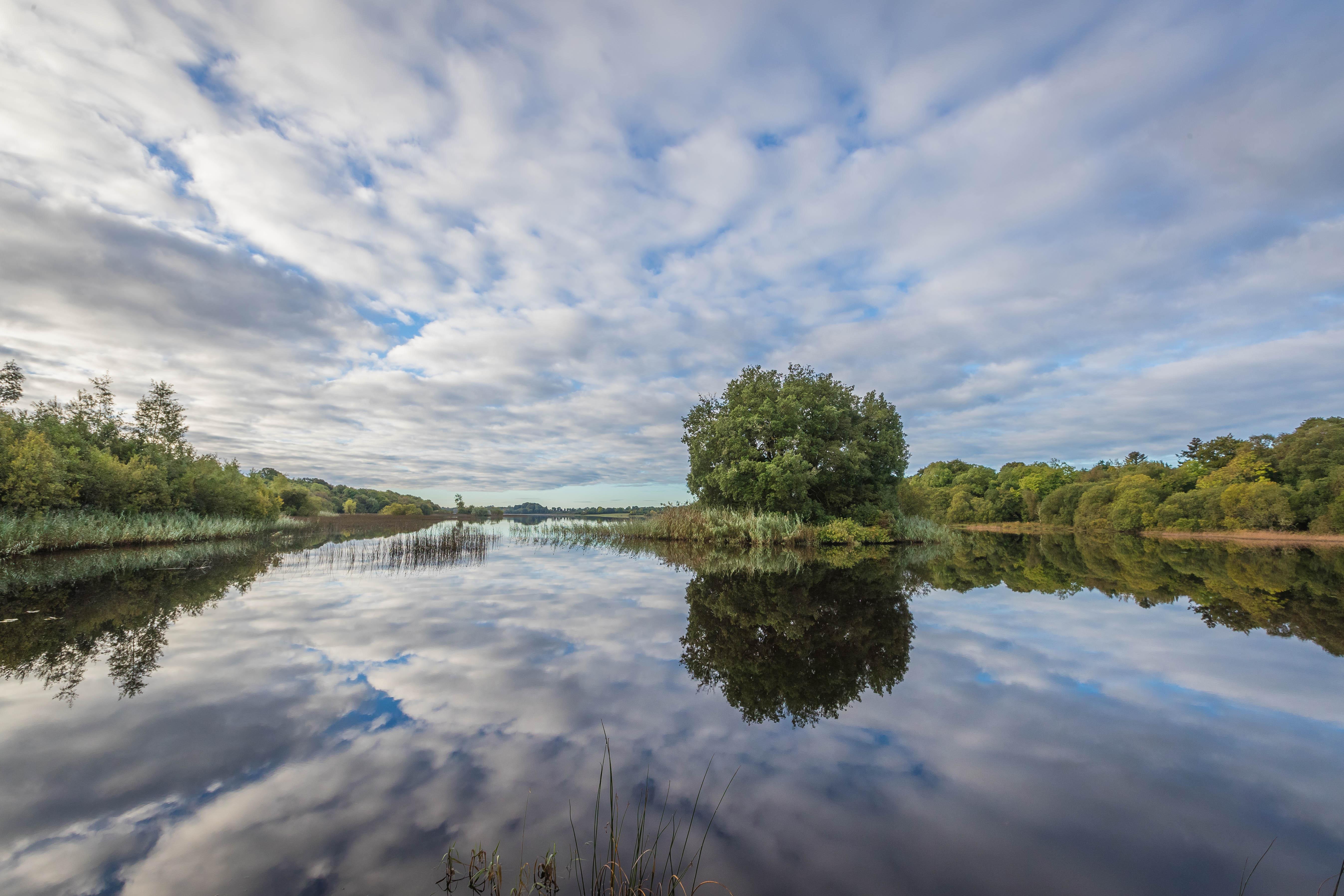 Hotel Lough Rynn Castle Mohill Zewnętrze zdjęcie